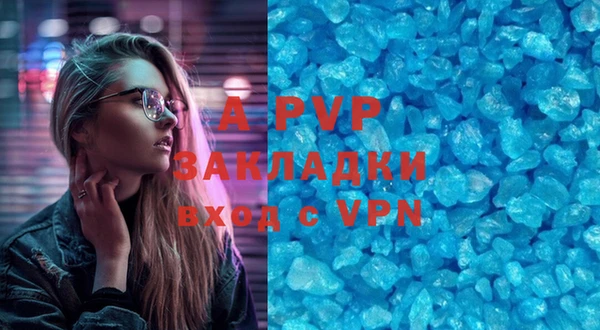 стаф Гусев