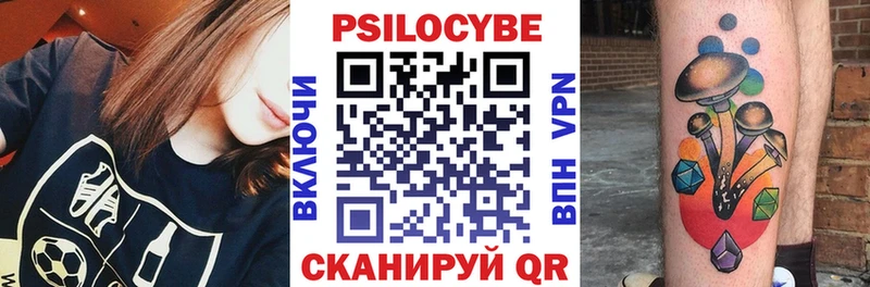 Псилоцибиновые грибы Psilocybine cubensis  Кировград 